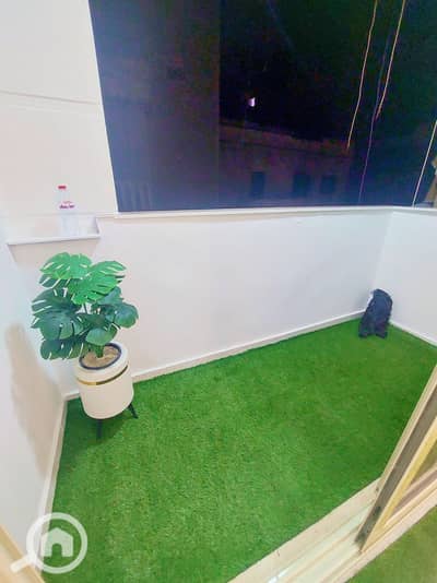 3 Bedroom Flat for Sale in Sidi Beshr, Alexandria - 536273069_24458475360436225_6636691263111643861_n. jpg