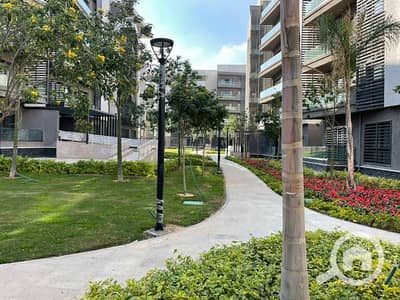 Studio for Sale in Madinaty, Cairo - ممشى-عمارات-شقق-تخصيص-مدينتي-B15. jpg