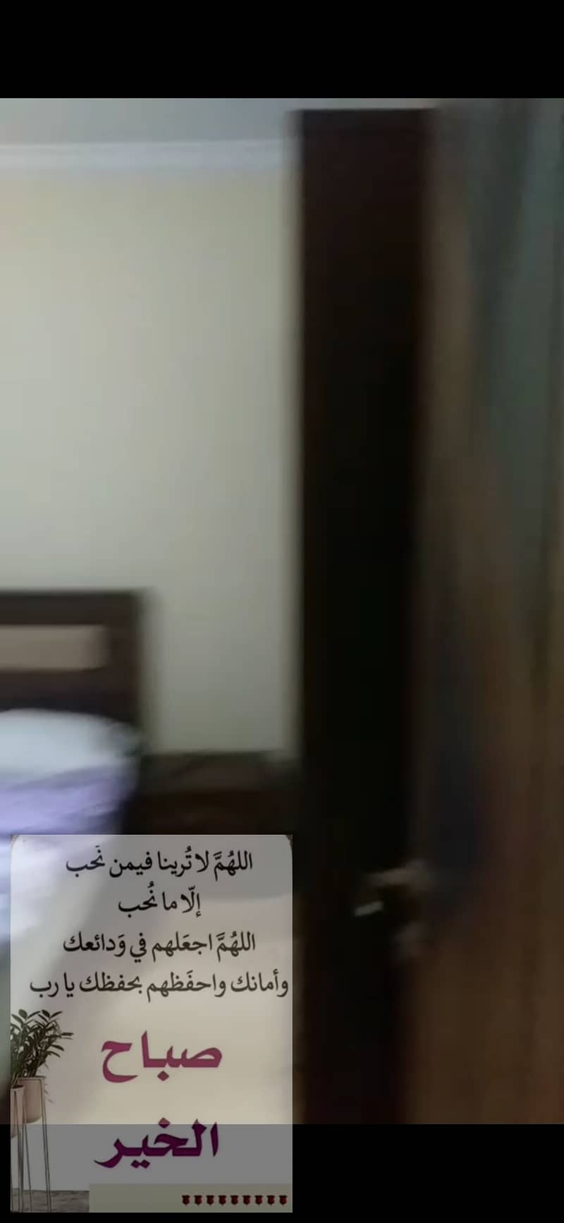 6 Screenshot_٢٠٢٥٠٨٢٥_٢٠١٩١٢_WhatsApp. jpg