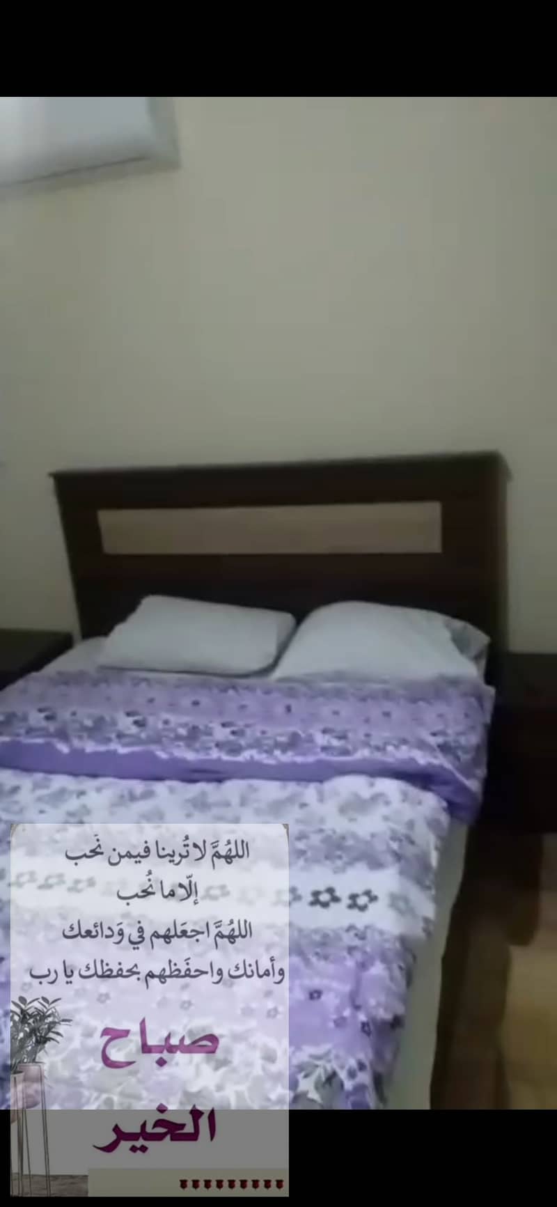 7 Screenshot_٢٠٢٥٠٨٢٥_٢٠١٩١٨_WhatsApp. jpg