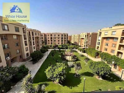 شقة 3 غرف نوم للايجار في القاهرة الجديدة، القاهرة - 1000658258. jpg