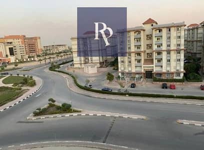 3 Bedroom Apartment for Rent in Nasr City, Cairo - Screenshot 2025-07-09 231030. jpg