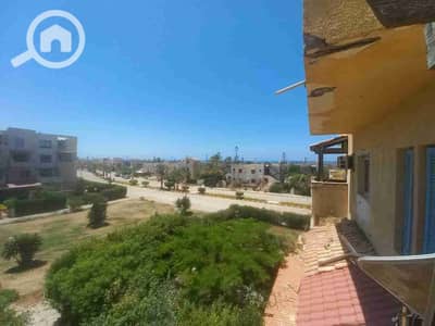2 Bedroom Chalet for Rent in North Coast, Matruh - IMG-20250522-WA0009. jpg