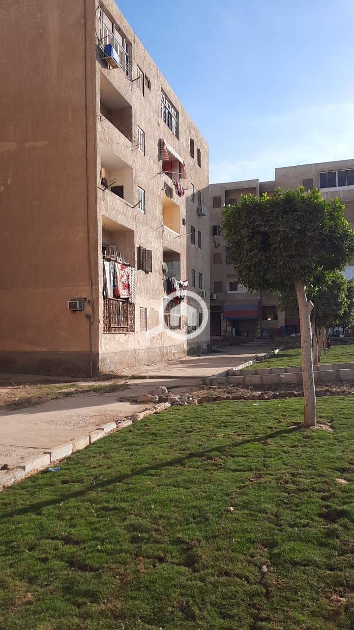 6 WhatsApp Image 2025-08-25 at 15.50. 02_6be3a7ad. jpg
