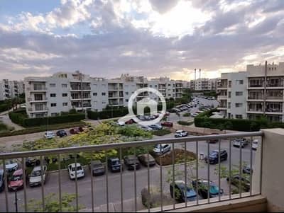 شقة 3 غرف نوم للايجار في الشيخ زايد، الجيزة - fc7df7f7-df44-4f5d-aa02-6e950fb37d2f. jpg