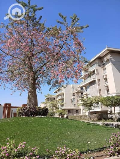 3 Bedroom Flat for Sale in New Cairo, Cairo - WhatsApp Image 2025-07-16 at 11.03. 26 AM. jpeg