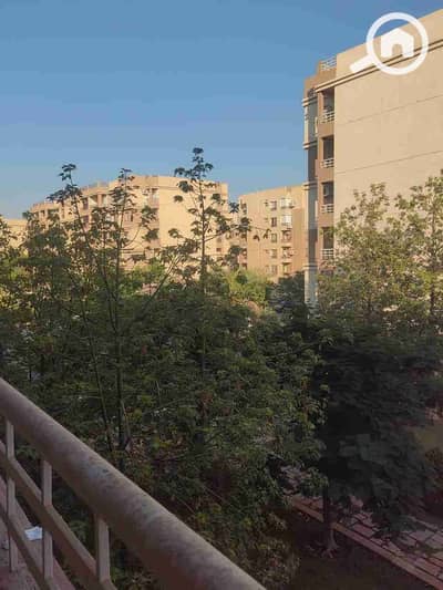 3 Bedroom Flat for Rent in Madinaty, Cairo - 1000180078. jpg