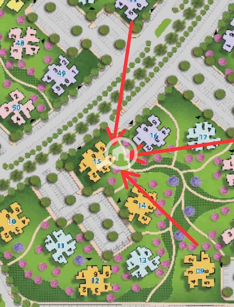 3 1000038557. jpg