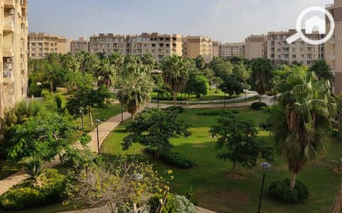 3 Bedroom Flat for Sale in Madinaty, Cairo - WhatsApp Image 2025-08-22 at 2.39. 31 PM. jpeg