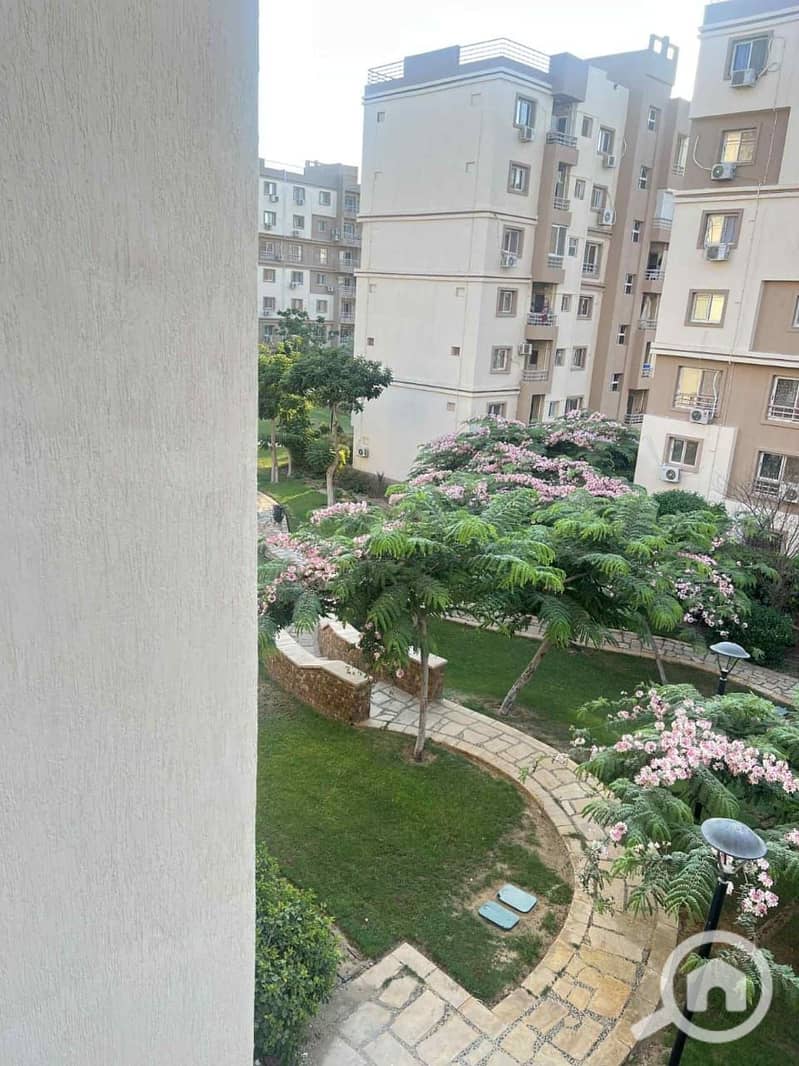 5 صورة واتساب بتاريخ 1447-02-11 في 23.41. 48_ef22928e. jpg