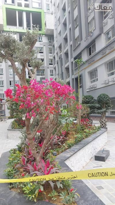 2 Bedroom Apartment for Sale in Zahraa Al Maadi, Cairo - becb26ae-4ee3-4a89-a8b2-a1be315c9778. jpeg