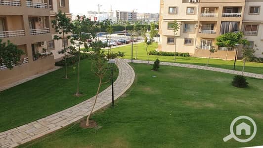 شقة 3 غرف نوم للايجار في مدينتي، القاهرة - صورة واتساب بتاريخ 1447-02-10 في 14.13. 41_ad784014. jpg