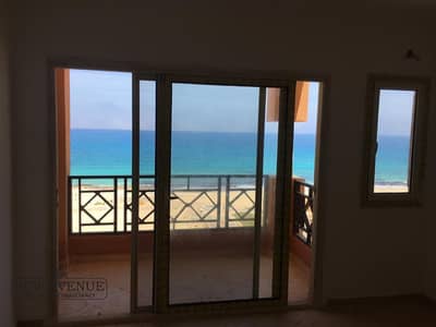 شاليه 2 غرفة نوم للبيع في الساحل الشمالي، مطروح - WhatsApp Image 2025-08-13 at 3.03. 55 PM. jpeg