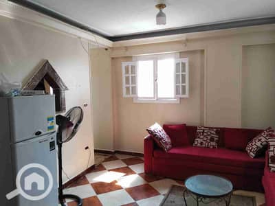 شقة 3 غرف نوم للايجار في سموحة، الإسكندرية - 1000043221. jpg