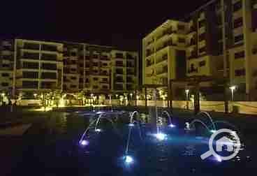 7 1000278597. webp