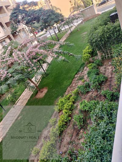 3 Bedroom Flat for Sale in Madinaty, Cairo - WhatsApp Image 2025-07-27 at 14.57. 31_b54abc51. jpg