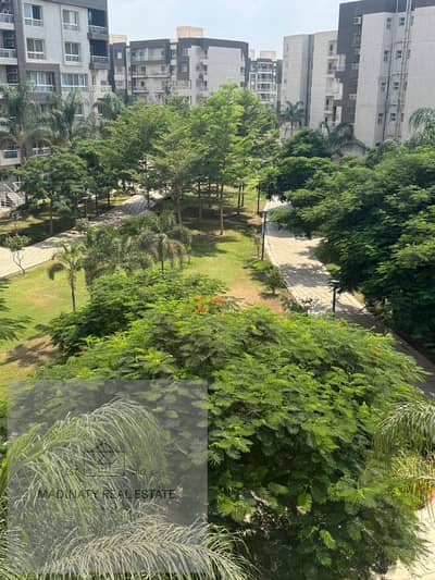 3 Bedroom Flat for Rent in Madinaty, Cairo - WhatsApp Image 2025-08-05 at 19.37. 18_45ba7551. jpg