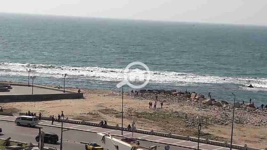 فلیٹ 2 غرفة نوم للايجار في ميامي، الإسكندرية - 1000217309. jpg