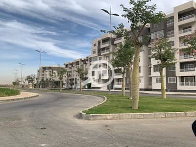 3 Bedroom Apartment for Sale in Madinaty, Cairo - WhatsApp Image 2025-04-17 at 11.07. 34 PM. jpeg