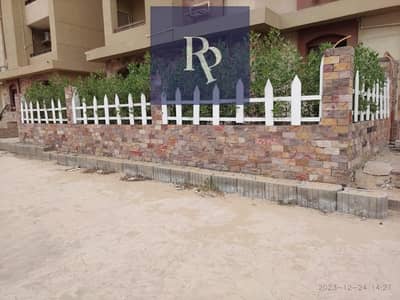 3 Bedroom Apartment for Rent in Nasr City, Cairo - WhatsApp Image 2025-05-10 at 8.40. 00 PM. jpeg