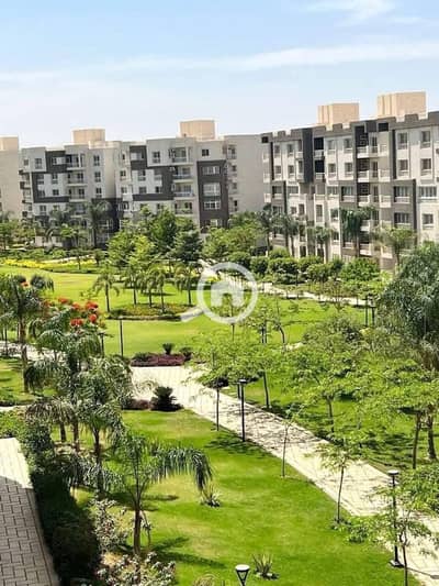 شقة 4 غرف نوم للايجار في مدينتي، القاهرة - 524947017_1465791517831492_7836147768033034788_n. jpg