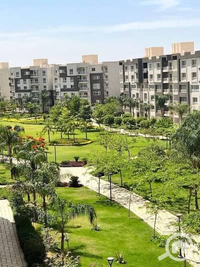 3 Bedroom Apartment for Sale in Madinaty, Cairo - 518239826_1450559116021399_8241763707111487014_n. jpg