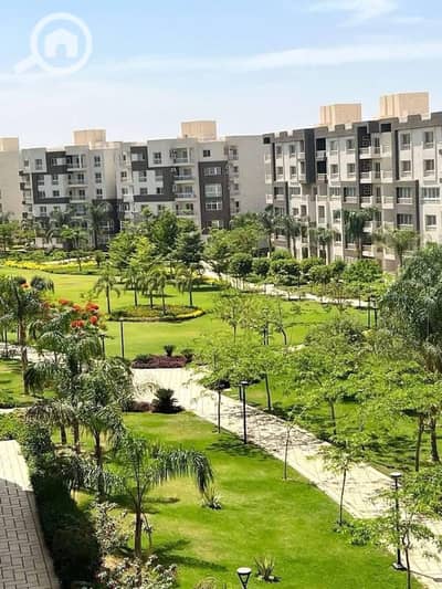 3 Bedroom Flat for Sale in Madinaty, Cairo - 518239826_1450559116021399_8241763707111487014_n. jpg