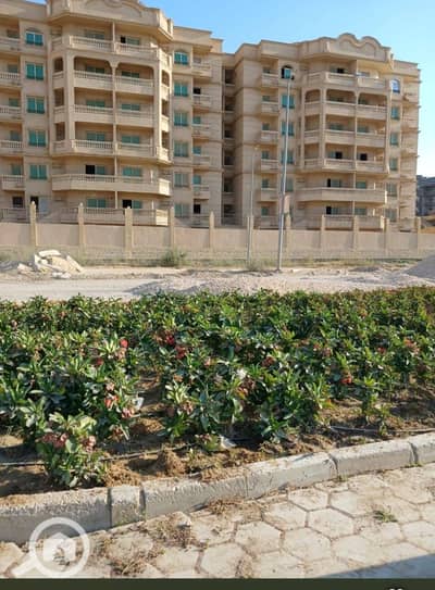 شقة 3 غرف نوم للبيع في القاهرة الجديدة، القاهرة - IMG-20250807-WA0160. jpg