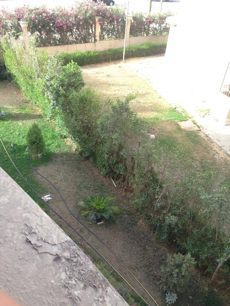 26 IMG-20250824-WA0390. jpg