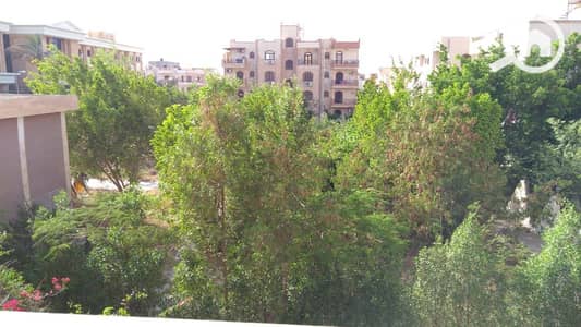 6 Bedroom Twin House for Sale in New Cairo, Cairo - IMG-20250824-WA0158. jpg