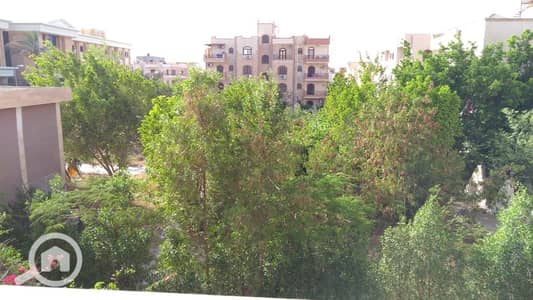 6 Bedroom Twin House for Sale in New Cairo, Cairo - IMG-20250824-WA0158. jpg