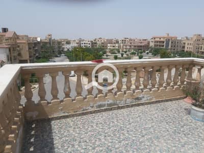 3 Bedroom Roof for Sale in New Cairo, Cairo - IMG-20250824-WA0421. jpg