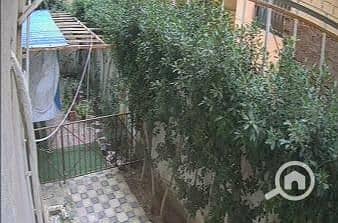 11 WhatsApp Image 2025-08-27 at 10.16. 39 AM. jpeg