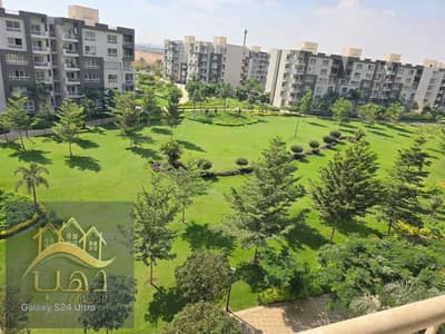 4 Bedroom Flat for Sale in Madinaty, Cairo - WhatsApp Image 2025-08-27 at 2.56. 12 AM. jpeg