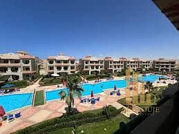 9 download (1). jpeg