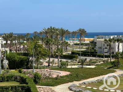 شاليه 1 غرفة نوم للبيع في الساحل الشمالي، مطروح - WhatsApp Image 2025-07-22 at 15.47. 09_e003a9d4. jpg