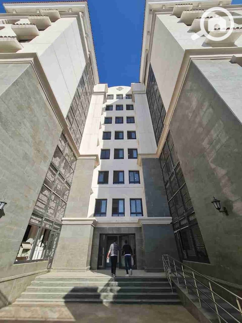 20 1000456808. jpg