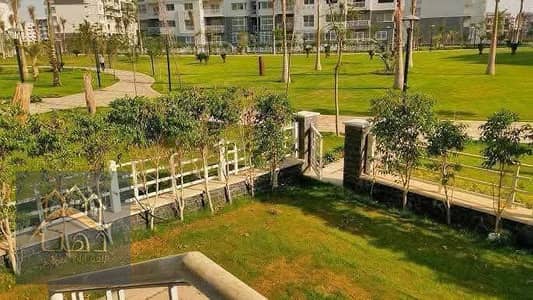 3 Bedroom Apartment for Sale in Madinaty, Cairo - WhatsApp Image 2025-08-27 at 4.17. 08 AM. jpeg