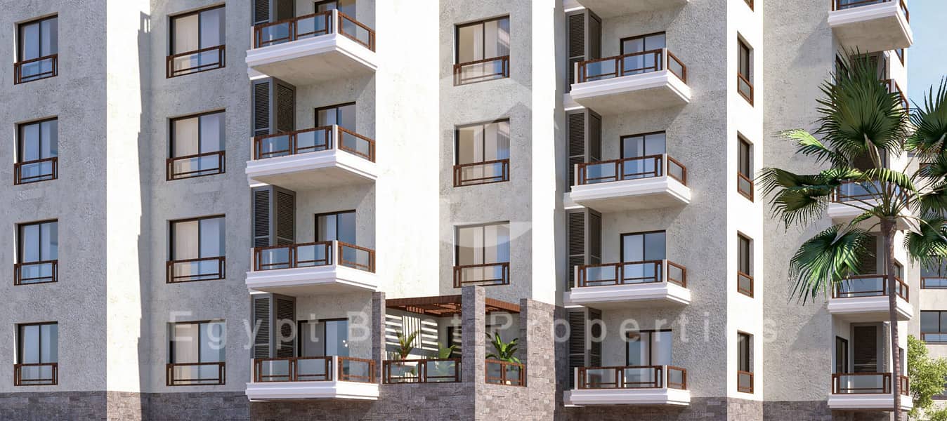 7 arkan palm (7). jpg