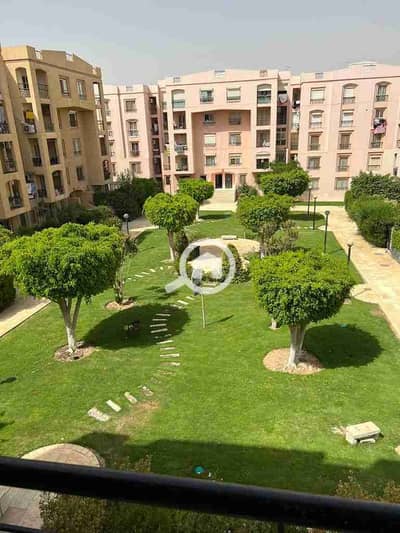 3 Bedroom Flat for Rent in New Cairo, Cairo - 1000040560. jpg