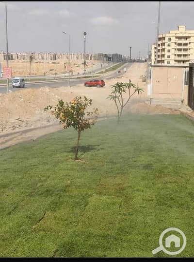 3 Bedroom Flat for Sale in New Cairo, Cairo - IMG-20250827-WA0215. jpg