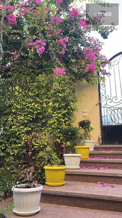 2 Bedroom Flat for Rent in Madinaty, Cairo - photo_23_2025-08-20_22-03-26. jpg