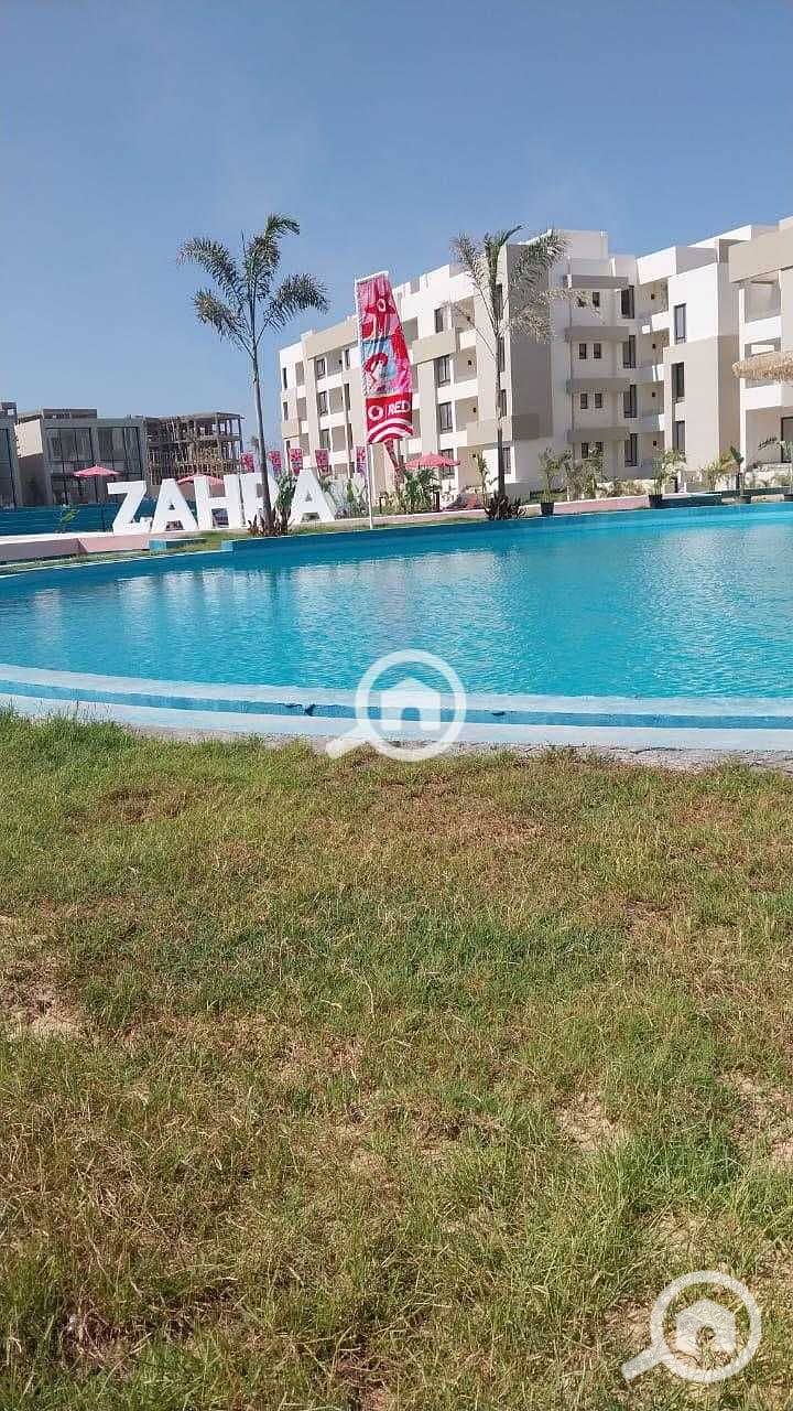 5 OzbQF5Fm8kRtSdzjQ2HXYtEdSMV8tlcOfSdLX9zs. jpg