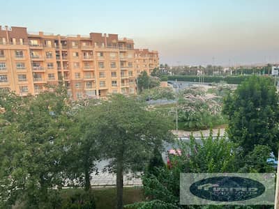 2 Bedroom Flat for Sale in Madinaty, Cairo - WhatsApp Image 2025-08-27 at 4.26. 35 PM. jpeg