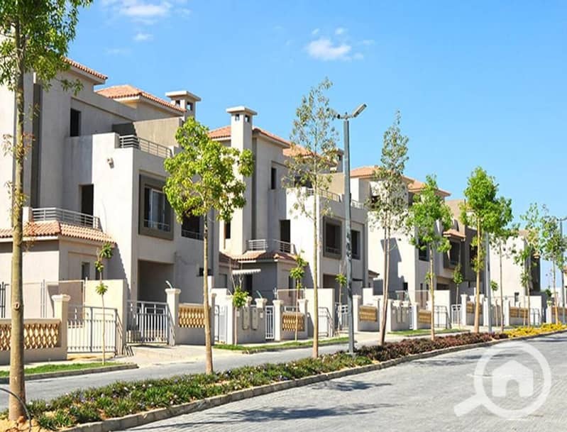 3 1146557-83dcbo. jpg