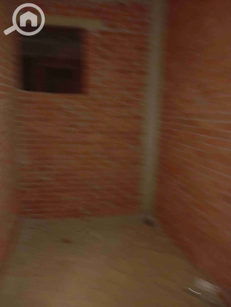 9 1000574869. jpg