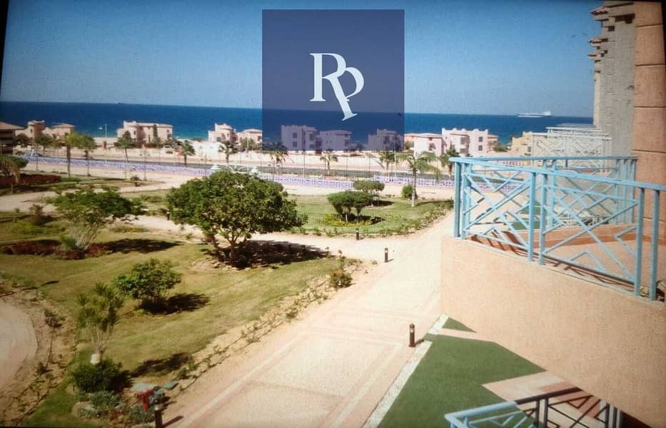 3 WhatsApp Image 2024-11-14 at 6.31. 53 PM (1). jpeg