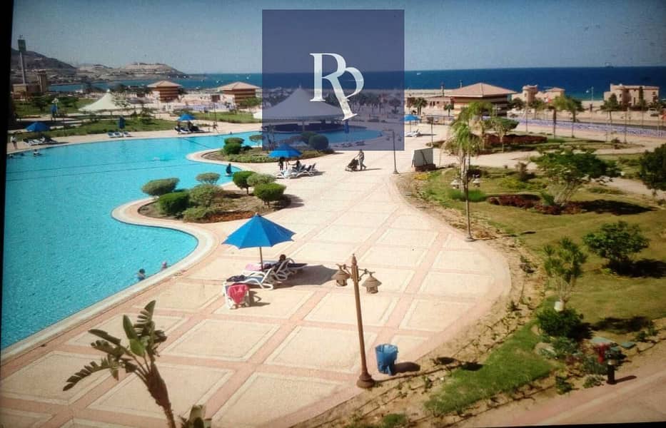 4 WhatsApp Image 2024-11-14 at 6.31. 53 PM. jpeg