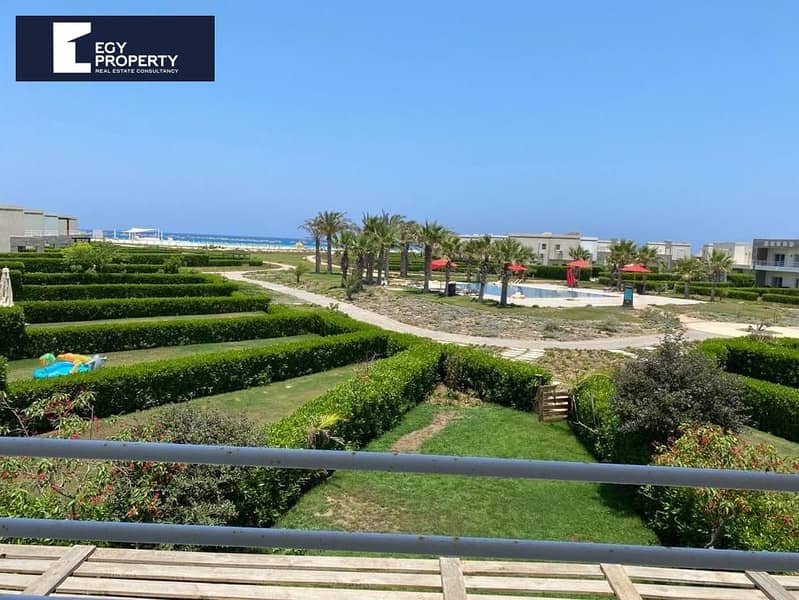 5 _files_458529ae-5103-42f6-891f-da471515e56d. jpg