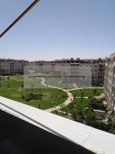 2 Bedroom Apartment for Rent in Madinaty, Cairo - WhatsApp Image 2025-08-12 at 2.56. 17 PM (1). jpeg